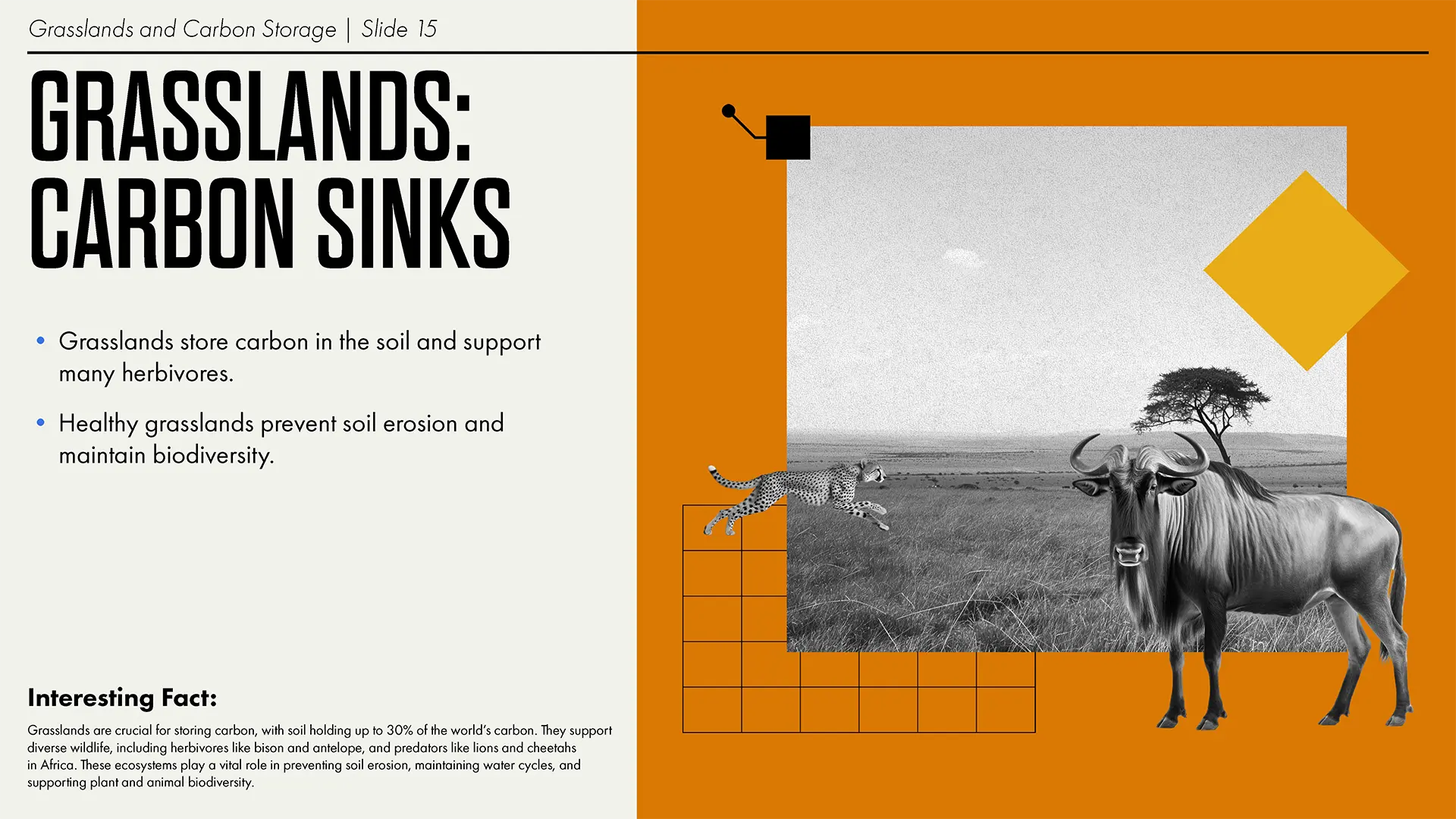 Climate presentation slide 5